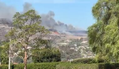 Brush fire burns at least 50 acres amid heat advisory in San Clemente