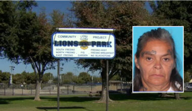 Woman arrested for kidnapping child at northwest Fresno park, police say