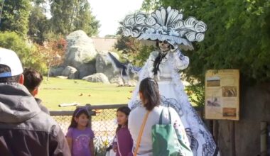Fresno Chaffee Zoo cancels Día de los Muertos for community safety