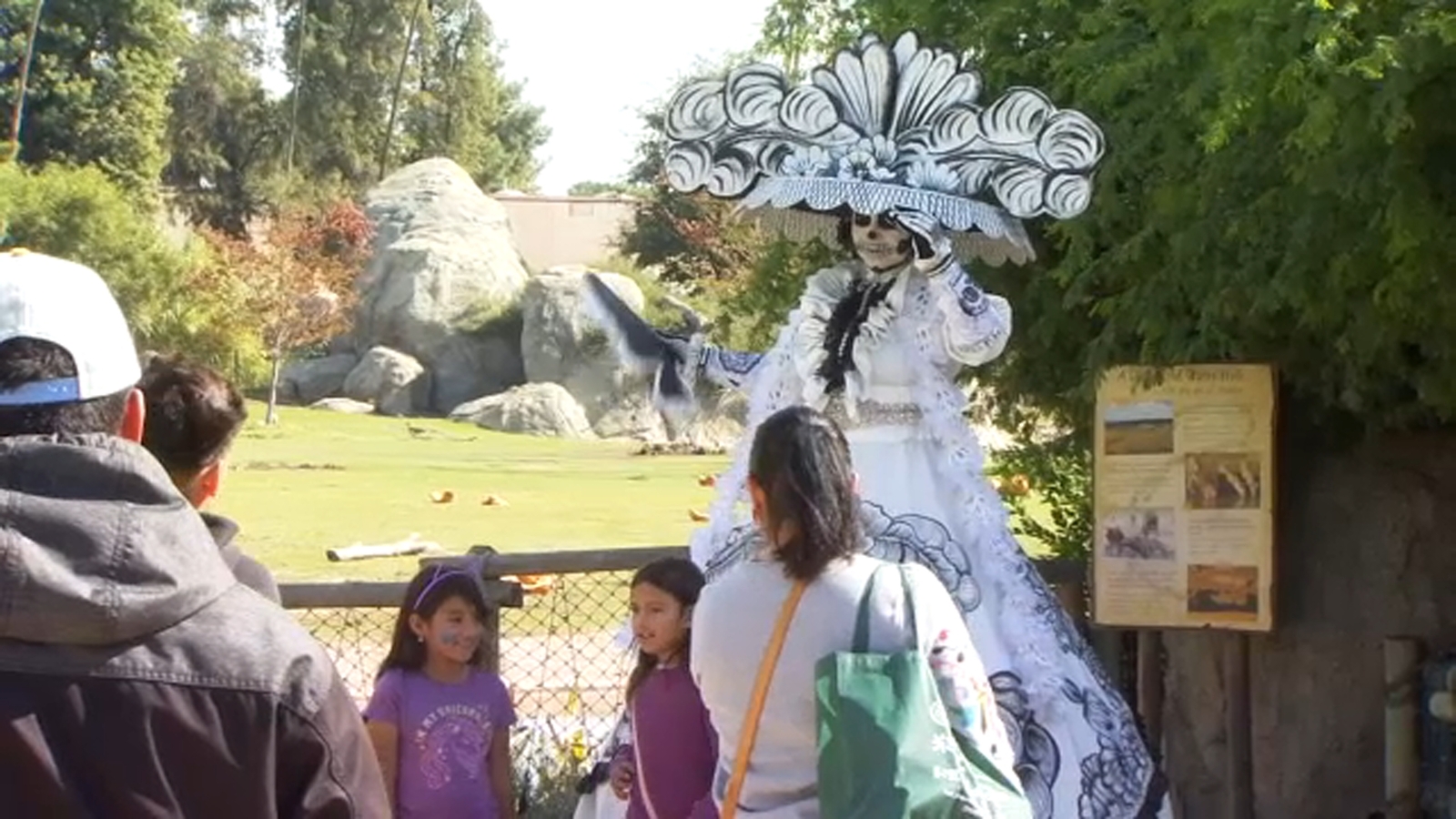 Fresno Chaffee Zoo cancels Día de los Muertos for community safety