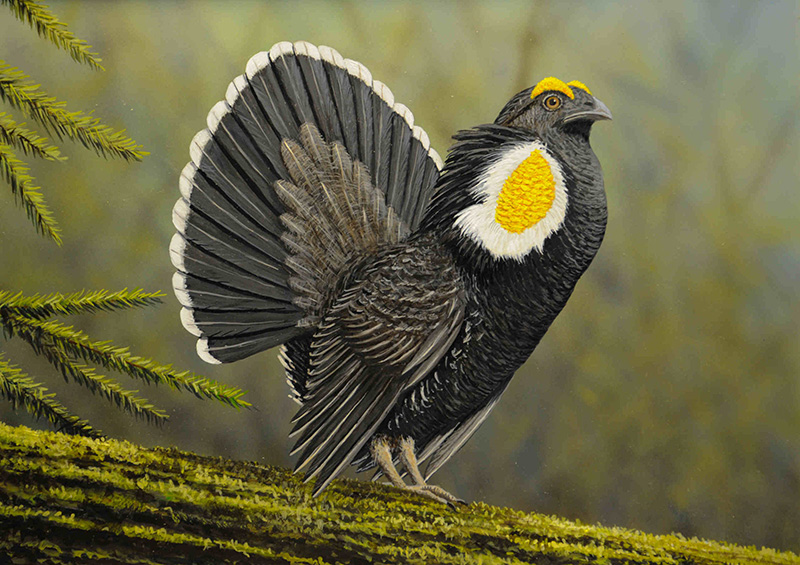 Painting of black bird with yellow and white in forest