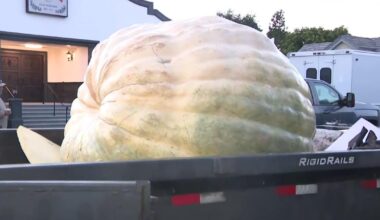 Minnesota man drives hauls giant pumpkin over 2,000 miles to California competition