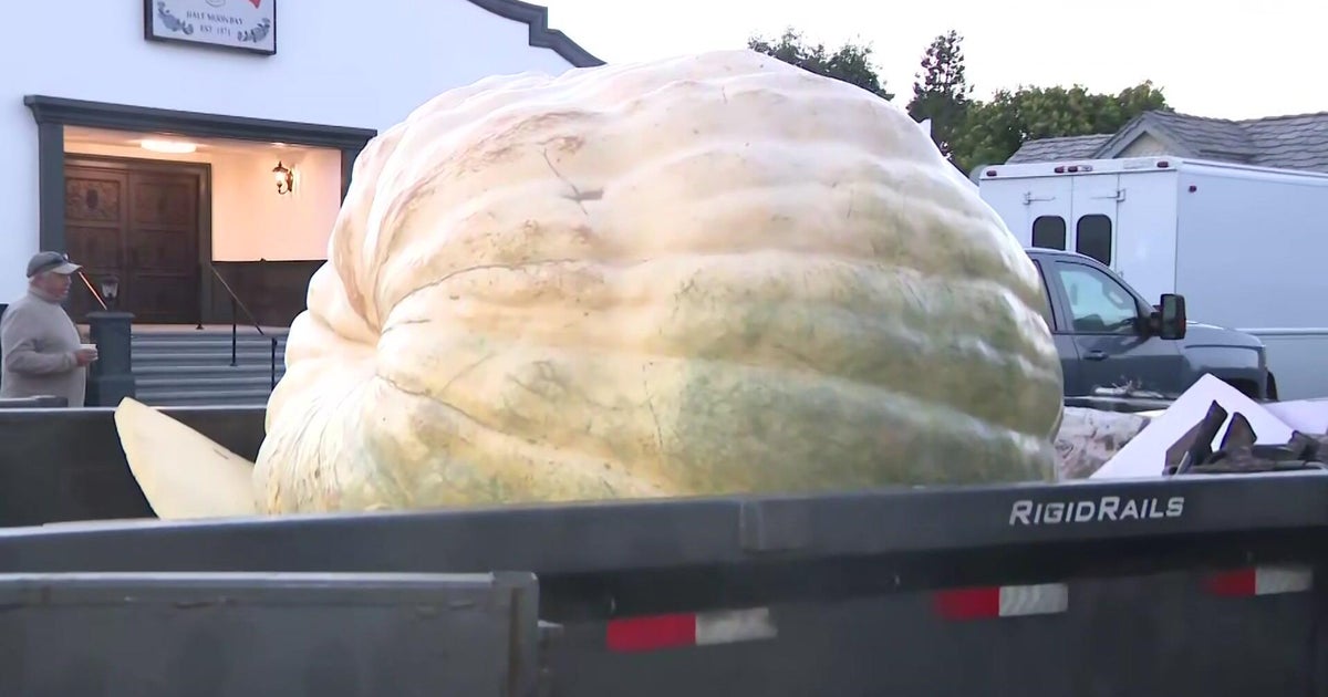 20261012-mon0088-ca-pumpkin-weigh-off-sot-minnesota-man-competes-for-world-record.jpg