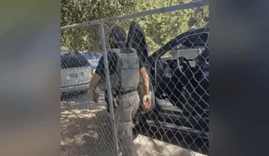 Video shows ICE arrests in West Park near Fresno
