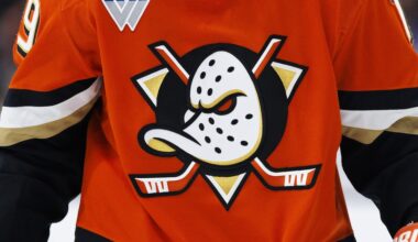 NHL's Ducks Reveal Incredible Wild Wing Mask Giveaway in Trending Video