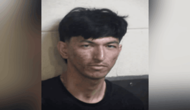 Felony suspect arrested after stolen e-bike reported near Shaw and Leonard