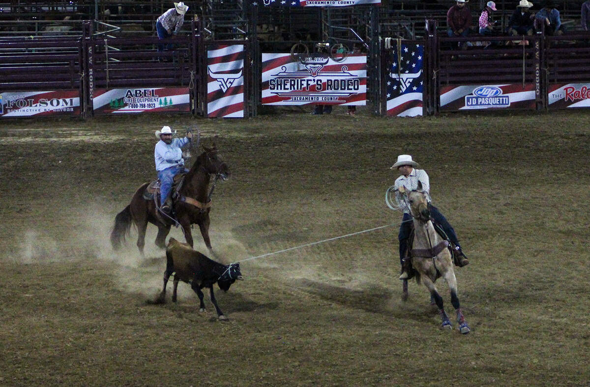 Competitors rope a cattle Oct. 3, 2026 at the Sacramento County Sheriff’s Rodeo
