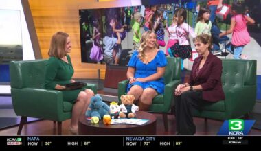 Wellness festival offers free flu shots and family activities at Fairytale Town