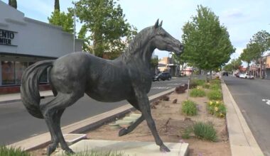 Sacramento police search for horse statue stolen on Del Paso Blvd.