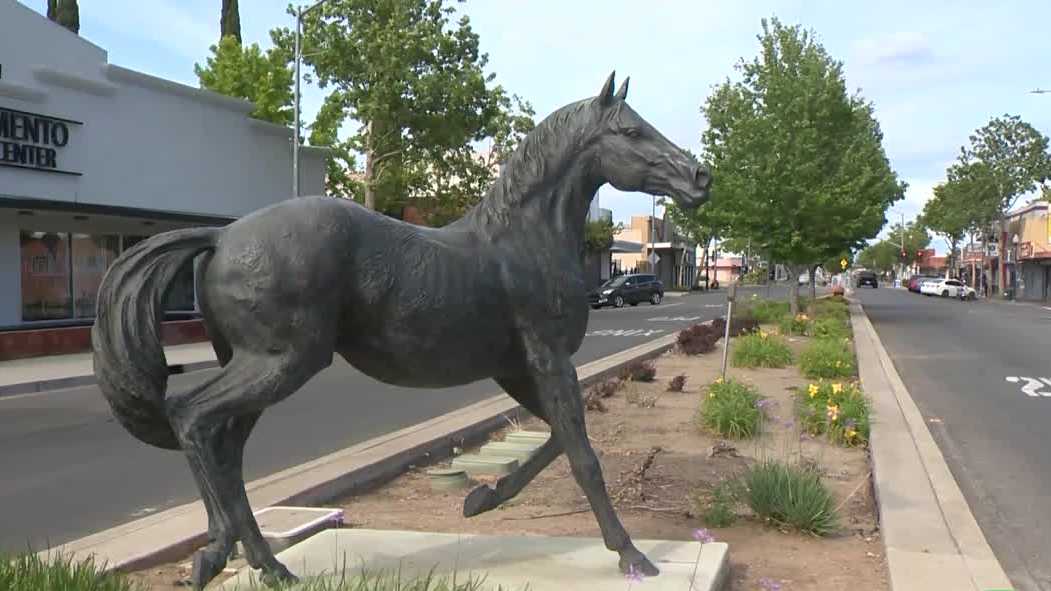 Sacramento police search for horse statue stolen on Del Paso Blvd.