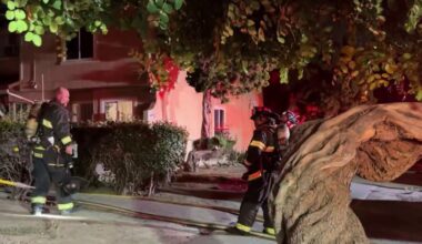 2 families displaced, dog rescued after San Jose townhome fire – NBC Bay Area
