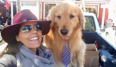 California Local: My Favorite Spot for a Weekend Trip Is Idyllwild