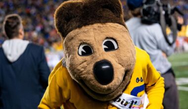How to get over your fear of Oski | How To