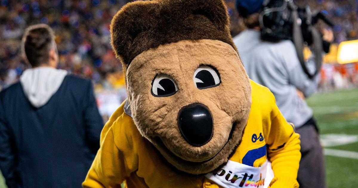 How to get over your fear of Oski | How To