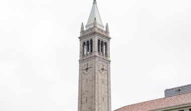 Someone’s got to hold it down at the Campanile | Local Guides