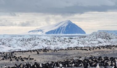 NSF awards $18.4M for Antarctic research initiative co-led by UC Berkeley professor | Research And Ideas