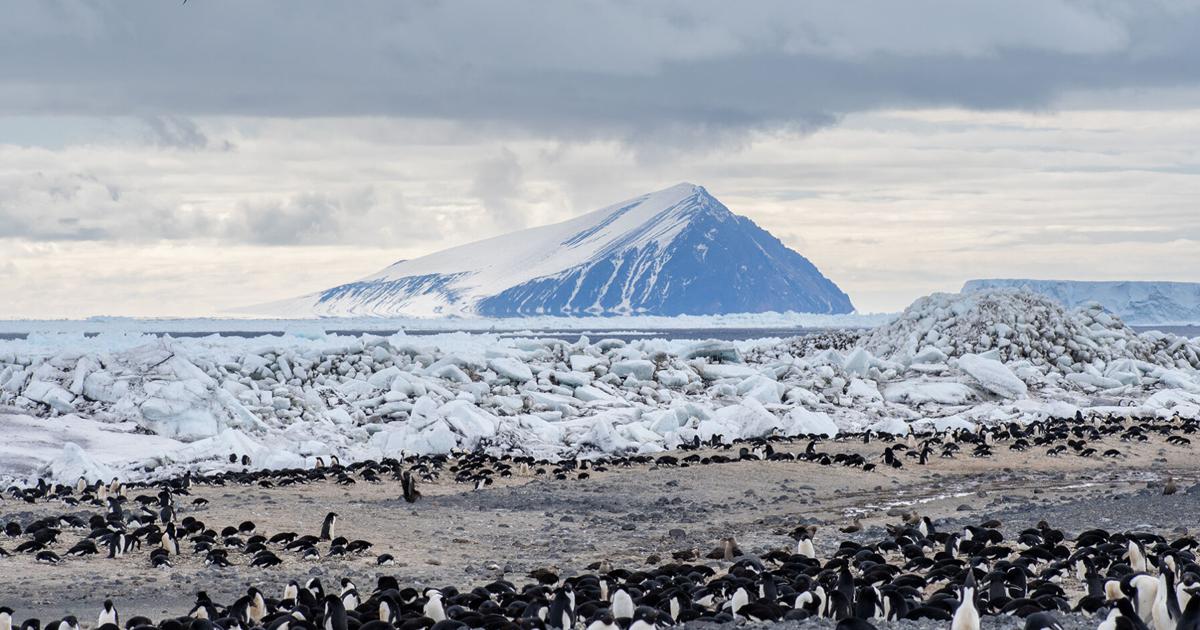 NSF awards $18.4M for Antarctic research initiative co-led by UC Berkeley professor | Research And Ideas