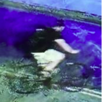 BPD requests help finding burglary suspect | News