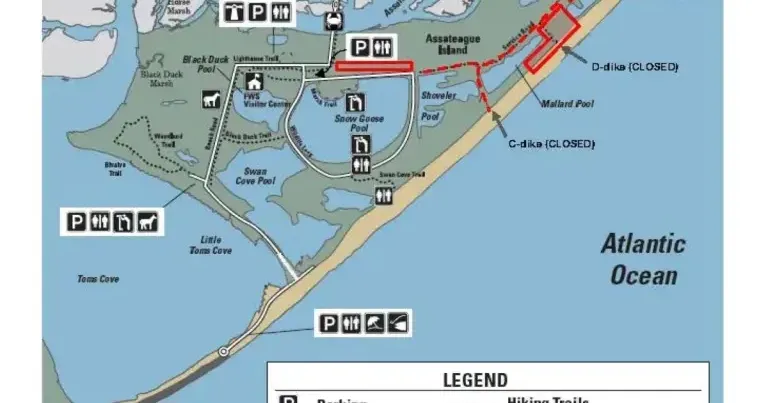 Chincoteague recreational beach to relocate about 2.5 miles north | Latest News