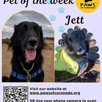 PAWS Pet-Of-The-Week | Coronado City News