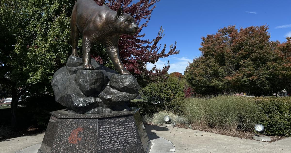 Washington State football kicks off new PAC-12 era with Fresno State matchup | News