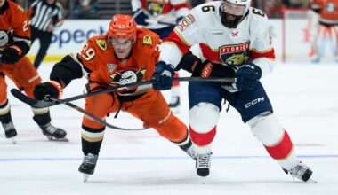 Mikael Granlund scores in OT, Cutter Gauthier gets 2 goals in Ducks' 3-2 win over Panthers | National Sports