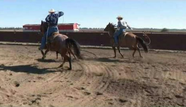Sacramento County Sheriff's Rodeo Draws Thousands for Deputy Competitions
