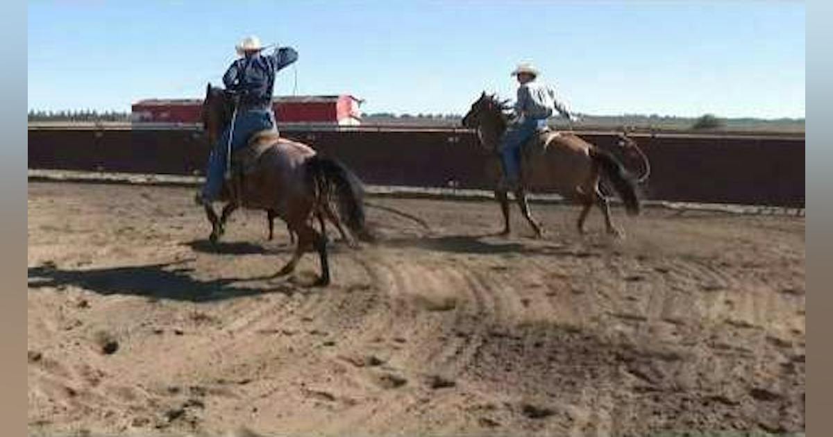 Sacramento County Sheriff's Rodeo Draws Thousands for Deputy Competitions