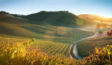 My Favorite California Hidden Gem Has Great Wine Without Napa Prices