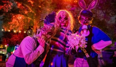 Halloween Is Happening: Tricks + Treats are not just for the 31st | News