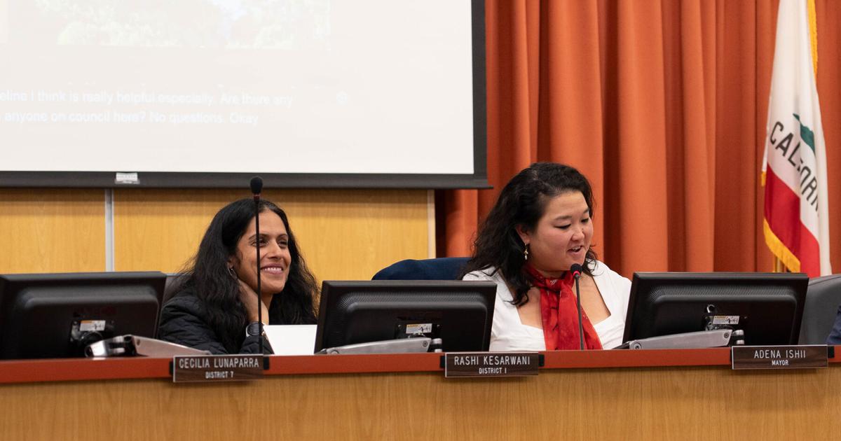 City Council alters approval process for affordable housing, adopts controversial development plan | City Government