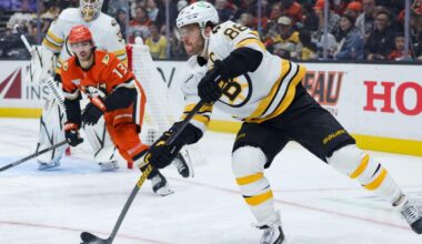 Elias Lindholm's big 3rd period sparks streaking Bruins' comeback for 4-2 win over Ducks | National Sports