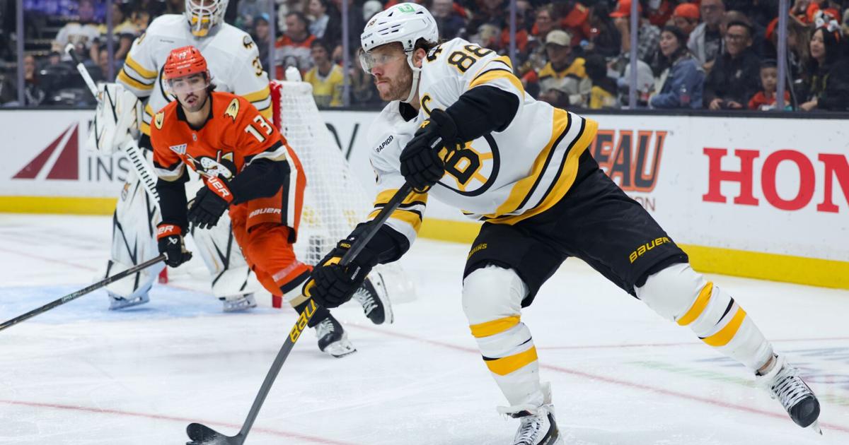 Elias Lindholm's big 3rd period sparks streaking Bruins' comeback for 4-2 win over Ducks | National Sports