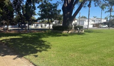 Community Input Sought On Glenn Curtiss Park Improvements | Coronado City News