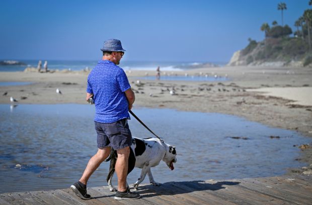 Lance Fogel and his pit bull-Dalmatian mix, Loki, say it is very unusual for water to flood onto the beach on Thursday, Oct. 8, 2026, (Karen Tapia, The Orange County Register/SCNG