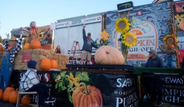 Giant pumpkins battle for heavyweight glory in Half Moon Bay – NBC Bay Area