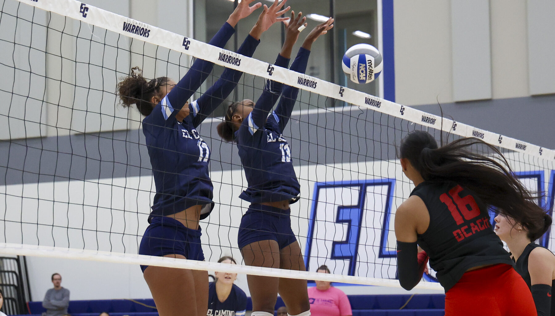 One player down, Long Beach Vikings women's volleyball wins against the Warriors