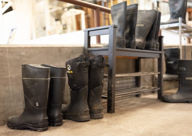 Detail of resting work boots inside the production facitily Admiral Maltings on their last day of operation in Alameda, Calif. on October 2nd, 2026. (Douglas Despres for Bay Area News Group)