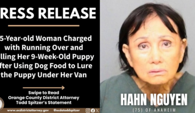 Anaheim Woman, 75, charged with felony animal cruelty after fatally luring puppy under a van
