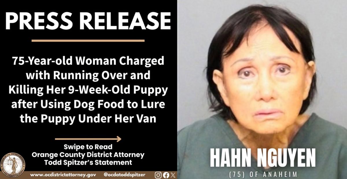Anaheim Woman, 75, charged with felony animal cruelty after fatally luring puppy under a van