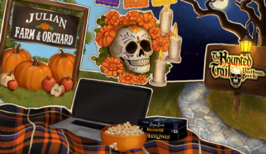Personality quiz: What San Diego autumn attractions should you visit? – The UCSD Guardian