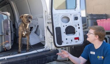 California shelter helps Kauai Humane Society amid Lowell recovery