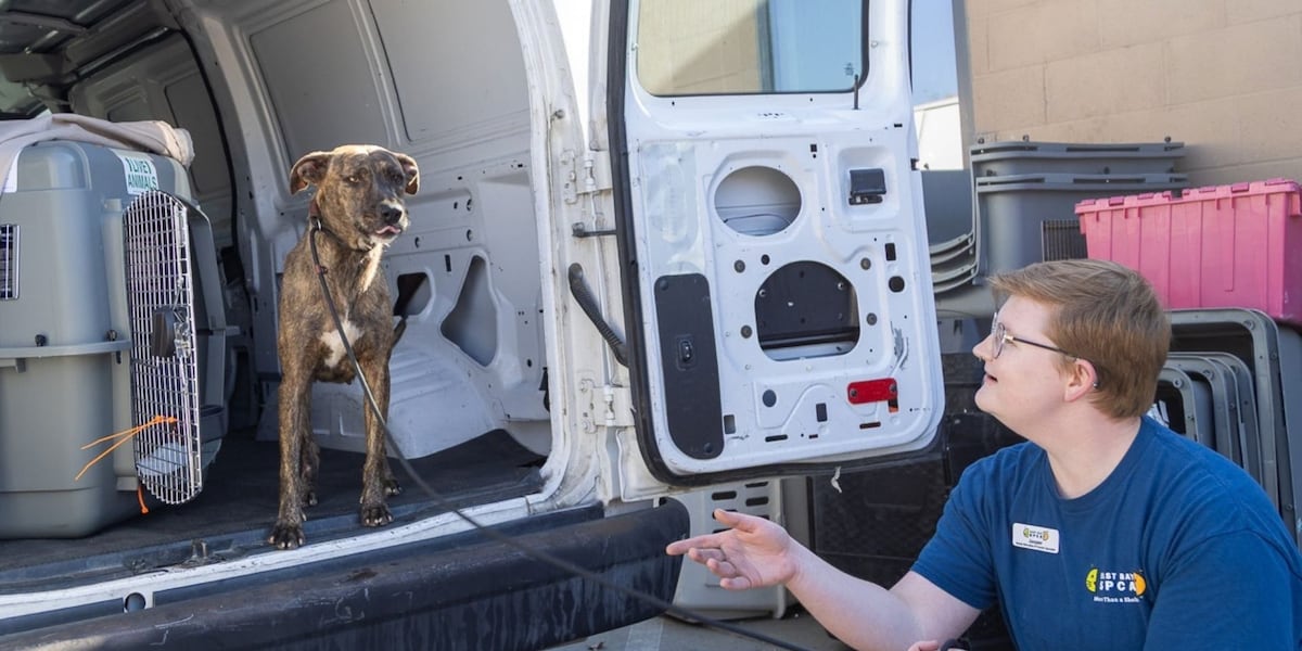 California shelter helps Kauai Humane Society amid Lowell recovery