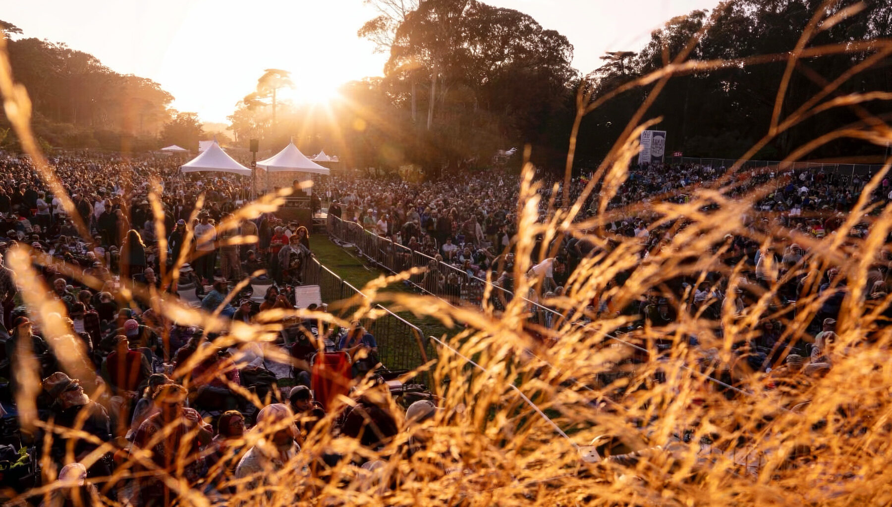 Heat wave reaches 84 in Golden Gate Park for Hardly Strictly Bluegrass fans