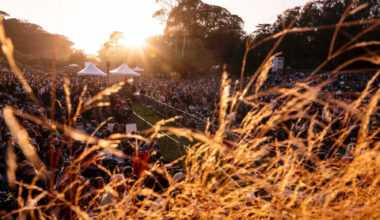 Heat wave reaches 84 in Golden Gate Park for Hardly Strictly Bluegrass fans
