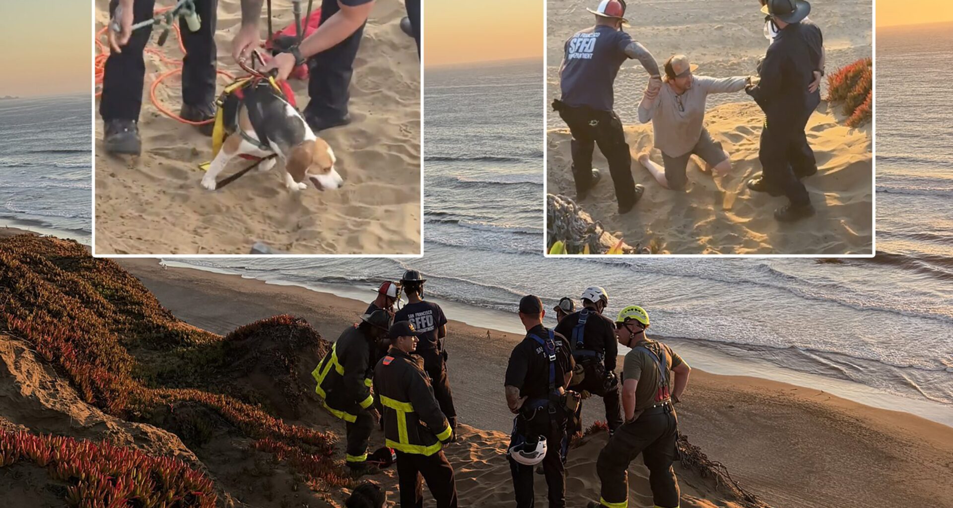 2 adults, 2 dogs rescued off cliffside at San Francisco's Fort Funston