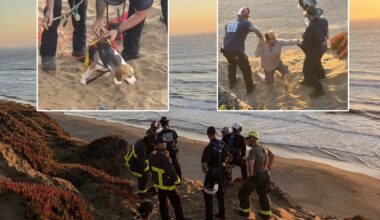 2 adults, 2 dogs rescued off cliffside at San Francisco's Fort Funston