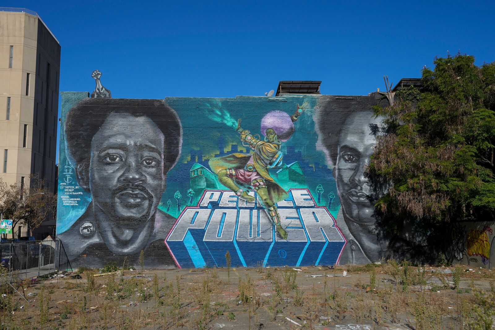 BLACK PANTHER LANDMARKS
