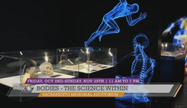 Bodies – The Science Within