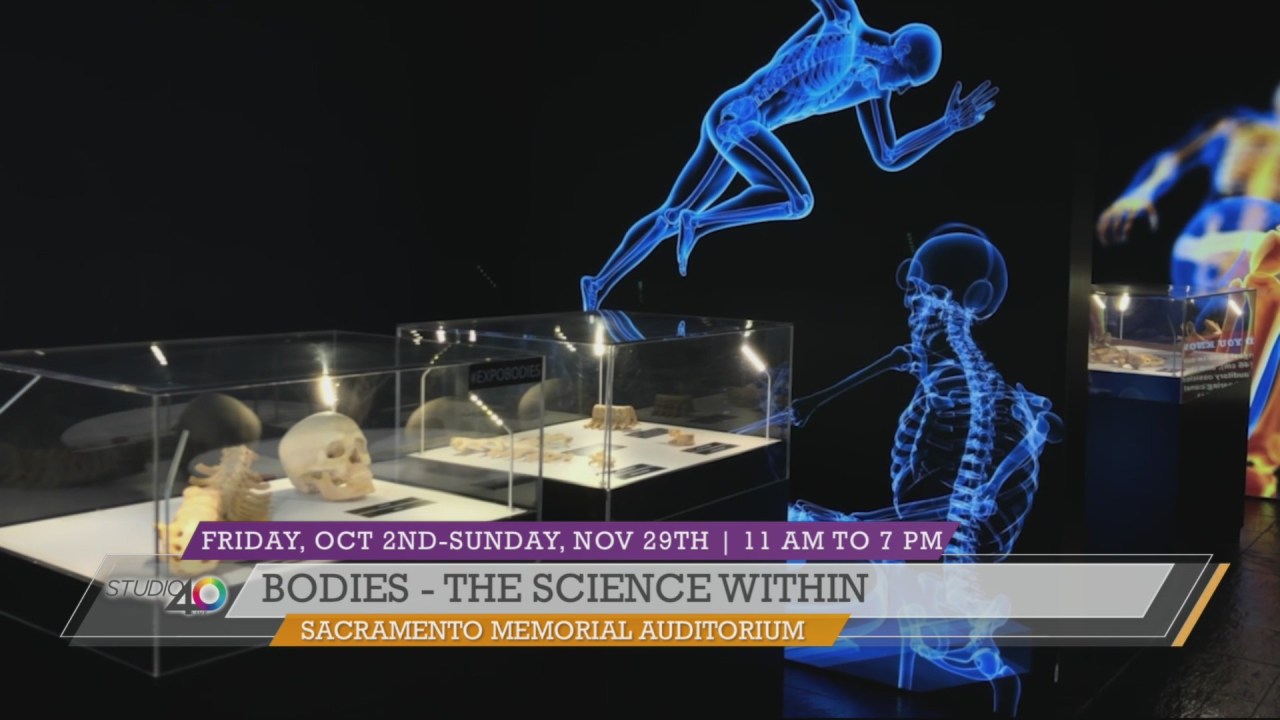 Bodies – The Science Within